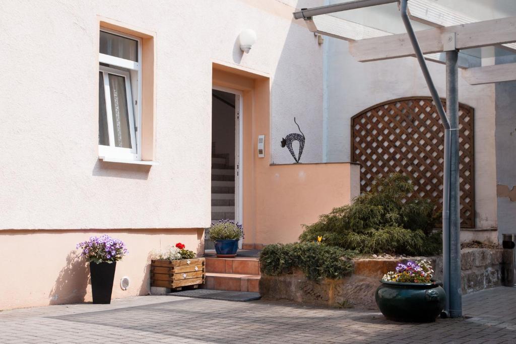 Apartment Dresden Neustadt Zewnętrze zdjęcie